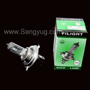Car Bulb Auto Lamp 12V-60W