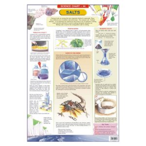 Chart Laminated For Salts 48X73Cm Dreamland