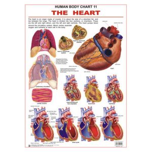 Chart The Heart 48X73Cm Dreamland