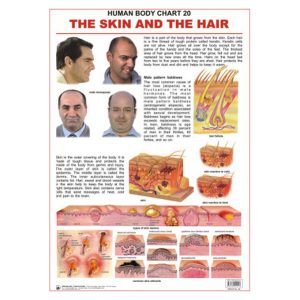 Charts Hair & Skin 48X73Cm Dreamland