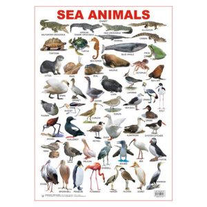 Charts Sea Animals 48X73Cm Dreamland