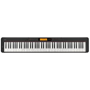 Contemporary Digital Piano Casio