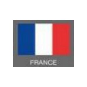 Flag With Stick And Base 4inchX6inch France