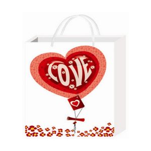 Gift Bag Matt Laminated 18X21