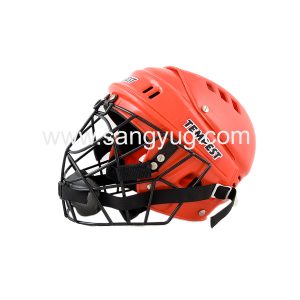 Hockey Helmet Economy Model Tempest