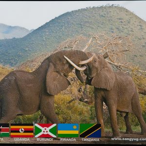 Mousepad Elephant, Eva Base 22X18 Cm Sunpower