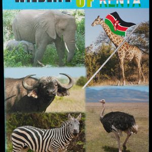 Mousepad Wildlife, Eva Base 22X18 Cm Sunpower