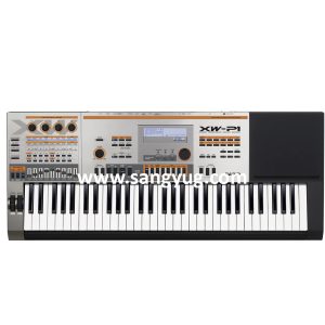 Musical Keyboard Hybrid Processing Sound Source Full-Size Casio