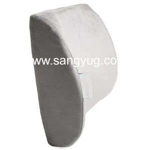 Orthopaedic Back Support