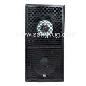 Passive Speaker 2X15