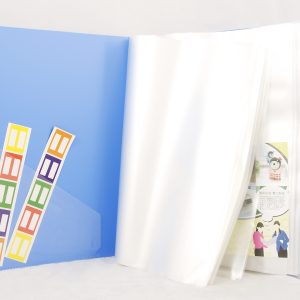 Filing Accessories 100 Pages Assorted Color Sunwood