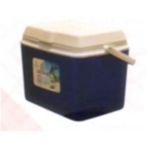 Cooler Box 5 Lit