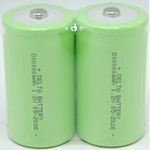 Delta Size D Rechargeable Battery 1.2V, 10000mAh (2pcs/Shrink Wrap) — Power You Can Rely On