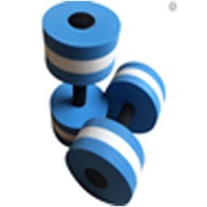 EVA Foam Dumbell In Pair White/Blue (SPL2702)