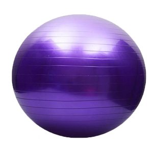 Gym Ball Anti-Burst 95CM Purple/Grey/Pink/Red/Blue (SPL1201)