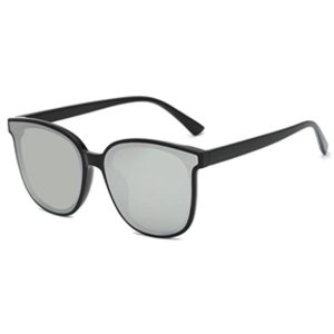 Sunglass PC Frame With TAC Lens, Silver, With Case