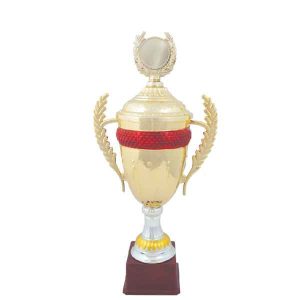 Trophy Gold Height: 510 H18-5102A
