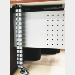 Vertebrae (Oval) Ebco Gr