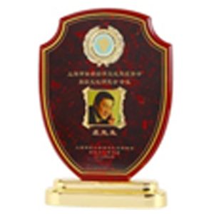 Wooden Plaque With Golden Plate – Custom Award Display 22.8x16.5cm | Shop Online Nairobi, 24hr Delivery