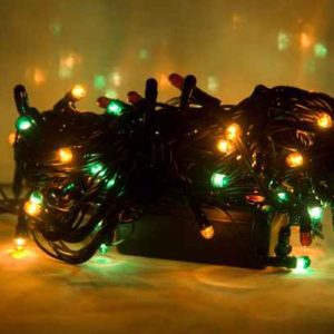 X-Mas Light Rice 100Bulb Multi Color