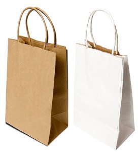 Twisted Paper Handle Gift Bags - TPHGB-WE-L