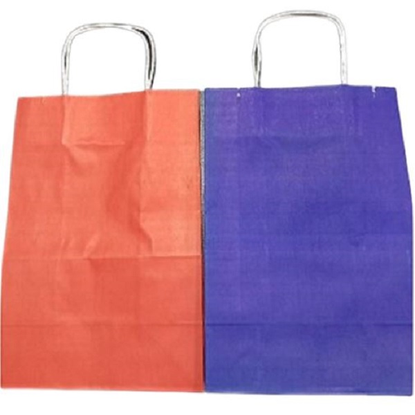 Twisted Paper Handle Gift Bag