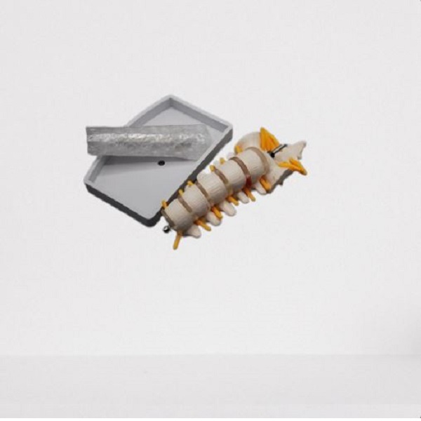 Spine Model Approx 15*6*5 Cm