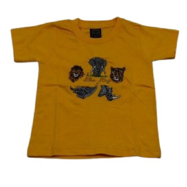 Kids T-Shirts Assorted, Souvenir Embroidered