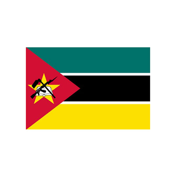 Flag Cloth Material 36inchX60inch Mozambique