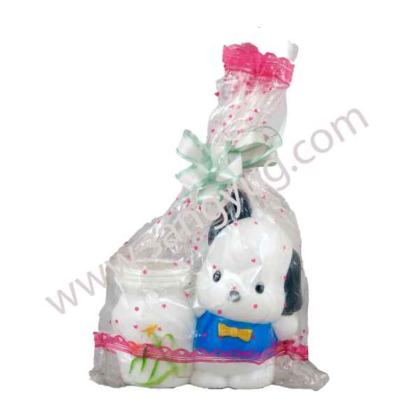 Teddy / Vase Piggy Bank