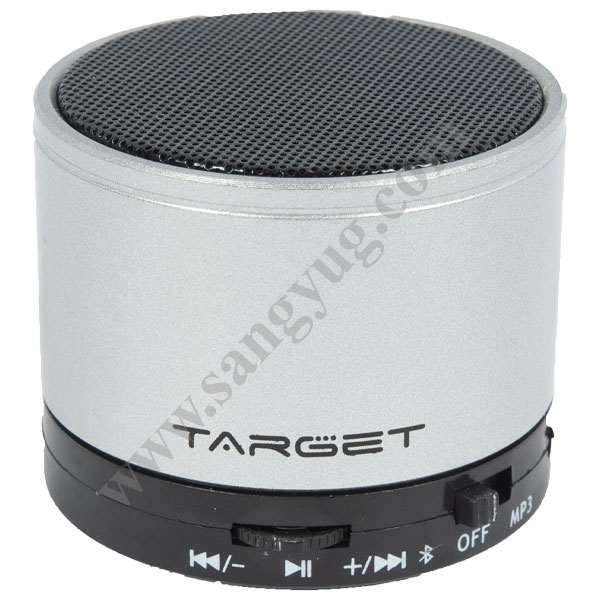 Bluetooth Speaker Tf Card+Handsfree+Fm Radio+Voice Reminding+Audio Input Bt-2 Silver