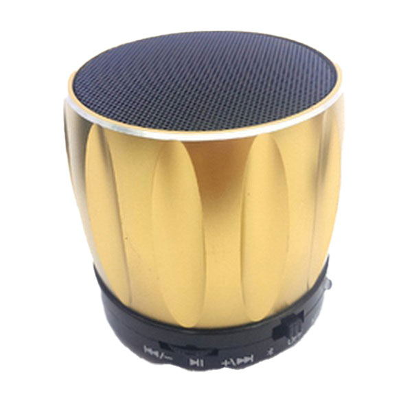 Bluetooth Speaker Tf Card+Handsfree+Fm Radio+Voice Reminding+Audio Input Bt-2 Gold