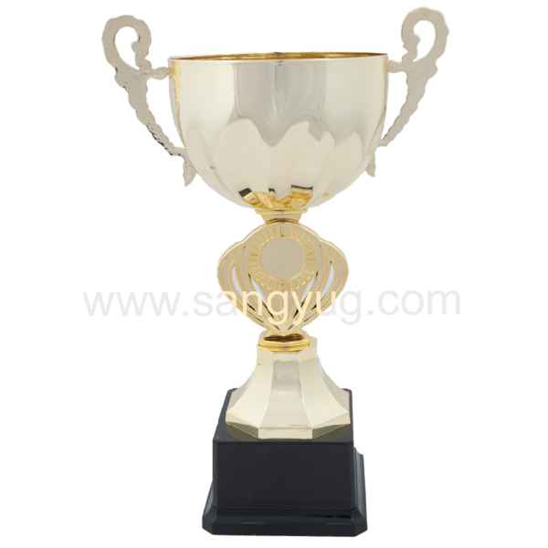Trophy Gold Height: 240 H18-5116A