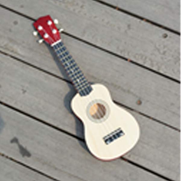 Ukulele Plain Colorful 21inch, Plywood, Normal String With Carry Bag