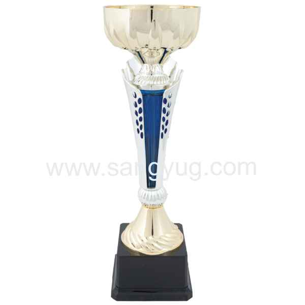 Trophy Gold Height: 320 H18-5122A