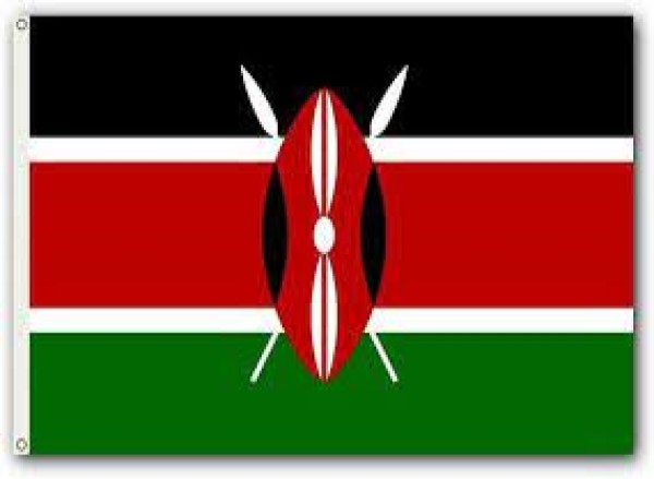 Flag Cloth Material 36inchX60inch Kenya