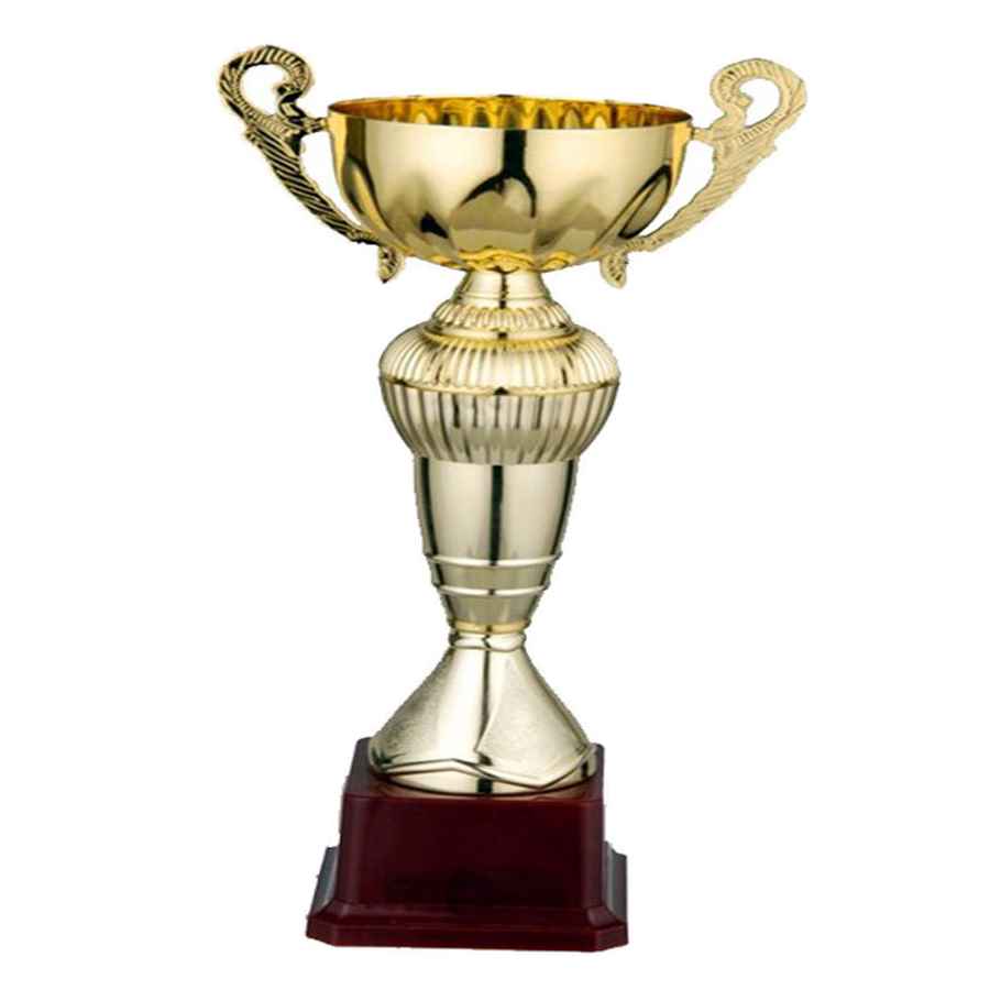 Budget Trophy 32 Dia/Cup(Mm)100 Fb2023B Metal