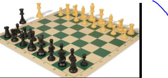 Tournament Standard Club Chess Piece