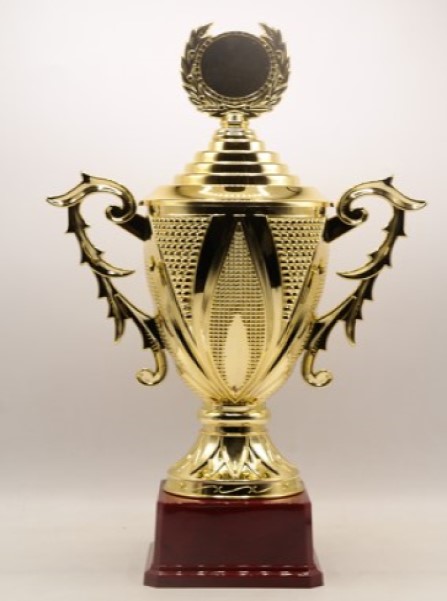 Budget Trophy-E 30Cm F70Mm Plastic