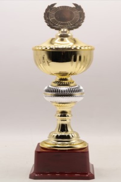 FB2042-C Budget Trophy C 28Cm