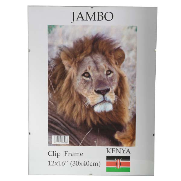 Glass Clip Frames 16 X 20