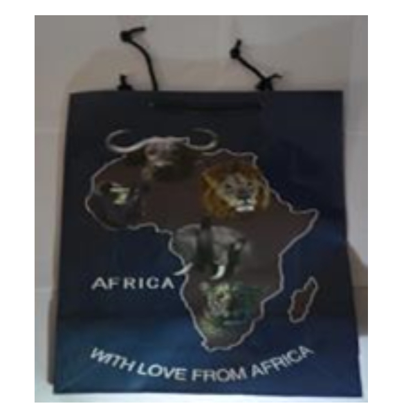 Handbag Souvenir, Big 5 14inchX9.5inch Sunpower