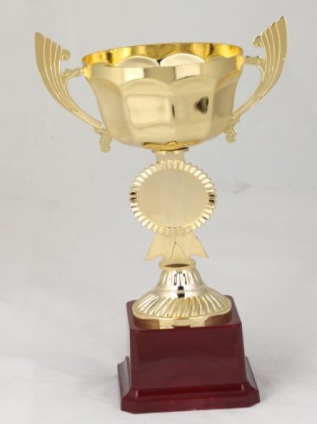 HB2421-B Budget Trophy B 10CMX24Cm