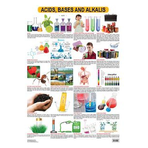 Chart,Acids, Bases & Alkalis 48X73Cm Dreamland