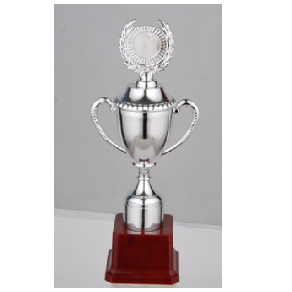 Budget Trophy-C 25.5Cm 60Mm Plastic