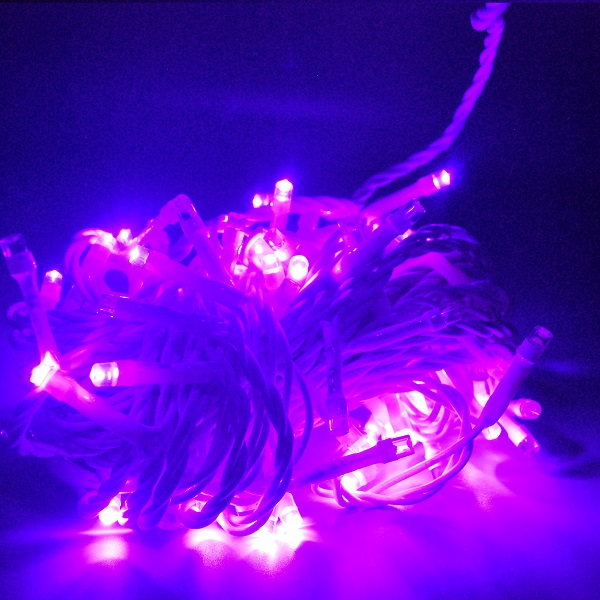 Light Led 10Meter 100 Bulbs Win Win Purple