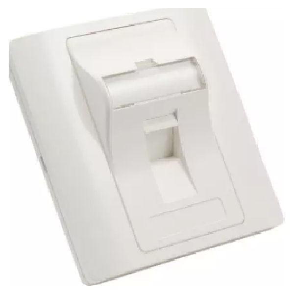 Single Port Uk Angled Type Face Plate Netlink