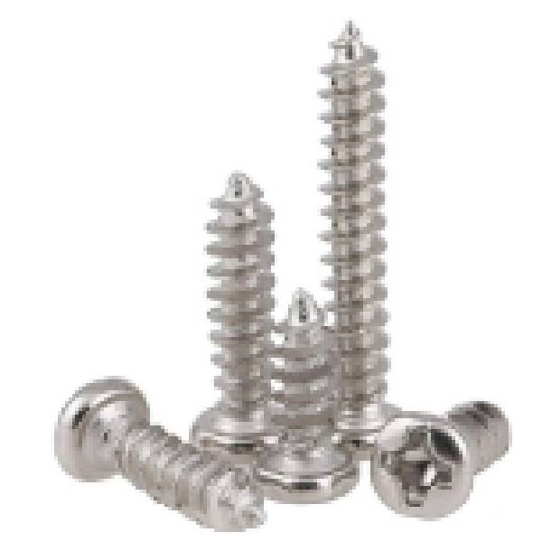 Self Tapping Screw 3X10mm Silver Color, Per Kg