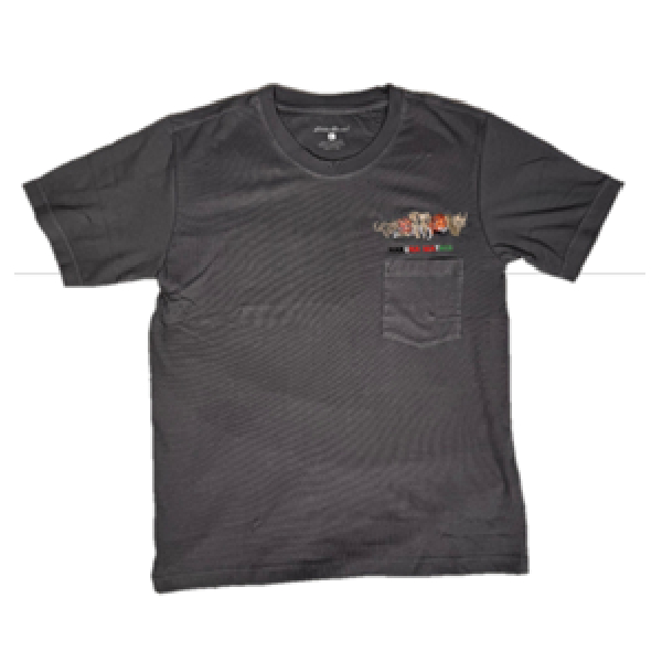 Plain T-Shirt Dark Grey Color Medium , Eddie Bouer