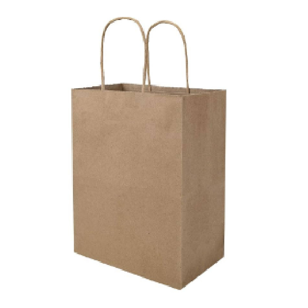 Kraft Bag Large 235*170, Pack Of 50